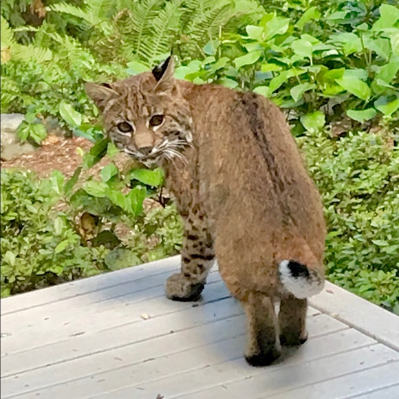 Meet Your Posher - Picture 4 of 6